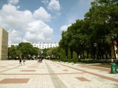 黑龍江九百余萬(wàn)預(yù)算購(gòu)置液相色譜、基因擴(kuò)增儀等分析儀器