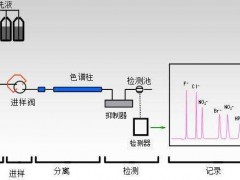 HJ1050-2019《水質(zhì)氯酸鹽、亞氯酸鹽、溴酸鹽、二氯乙酸和三氯乙酸的測定離子色譜法》發(fā)布