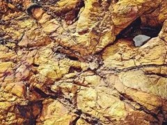 北京市礦產(chǎn)地質(zhì)研究所預(yù)算135萬 采購專用儀器設(shè)備-全自動(dòng)石墨消解儀