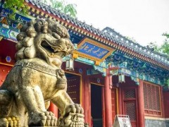 北京大學預算155萬元 招標采購生物學X射線輻照儀