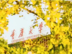 重慶大學(xué)預(yù)算120萬 招標(biāo)采購(gòu)全自動(dòng)多站比表面及孔徑分析儀