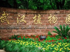 中科院武漢植物園預算185萬 采購原位水質(zhì)分析儀和固態(tài)樣品碳分析儀