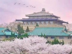 武漢大學(xué)1645萬(wàn)元 采購(gòu)顯微鏡、電感耦合等離子體質(zhì)譜、氣質(zhì)聯(lián)用儀等
