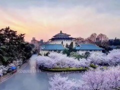 武漢大學(xué)預(yù)算1170萬(wàn) 采購(gòu)氣質(zhì)聯(lián)用儀、圓二色光譜儀、氣相色譜儀、液相色譜儀等