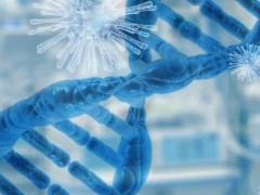 中科南京生命健康高等研究院500萬 采購流式細胞分析儀、流式細胞分選儀