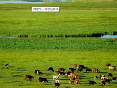 內(nèi)蒙古自治區(qū)水利科學(xué)研究院預(yù)算83萬(wàn) 磋商采購(gòu)實(shí)驗(yàn)中心實(shí)驗(yàn)儀器
