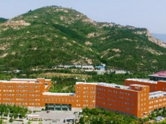 中國科學院青島生物能源與過程研究所198萬 采購多孔材料吸附重量分析儀