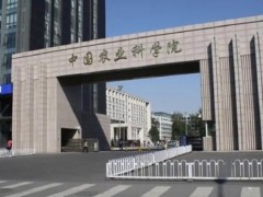 中國農(nóng)業(yè)科學(xué)院農(nóng)業(yè)基因組研究所669萬元 采購基因分析儀等一批儀器