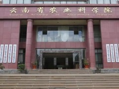 國家農(nóng)業(yè)科學(xué)勐海觀測實(shí)驗(yàn)站項(xiàng)目預(yù)算850萬元 采購儀器設(shè)備