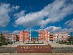 曲靖醫(yī)學(xué)高等?？茖W(xué)校預(yù)算485萬 采購招標(biāo)藥學(xué)實(shí)驗(yàn)儀器設(shè)備