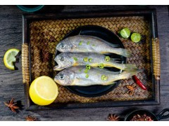 食品中硝酸鹽與亞硝酸鹽的測(cè)定 RKFI-100全自動(dòng)流動(dòng)注射分